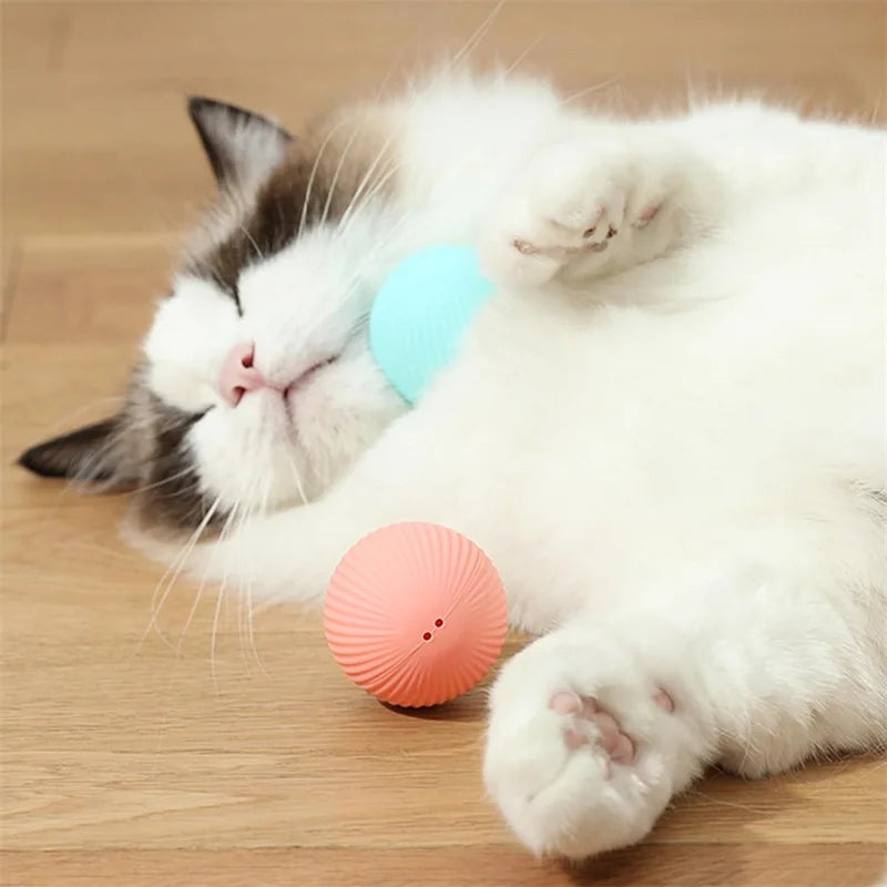 The Smart Dog and Cat Ball That Becomes Their Obsession