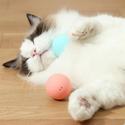 The Smart Dog and Cat Ball That Becomes Their Obsession