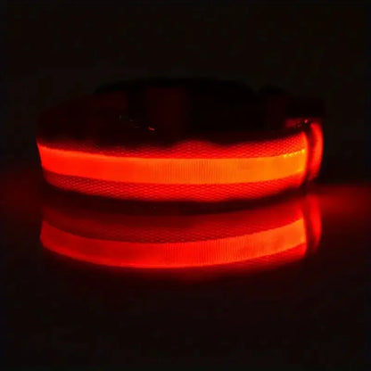 LED Glow Dog Collar – Safety Protection