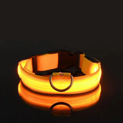 LED Glow Dog Collar – Safety Protection