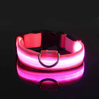 LED Glow Dog Collar – Safety Protection