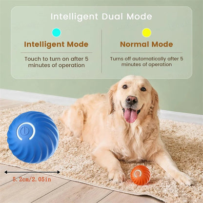The Smart Dog and Cat Ball That Becomes Their Obsession