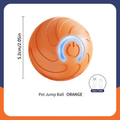 The Smart Dog and Cat Ball That Becomes Their Obsession