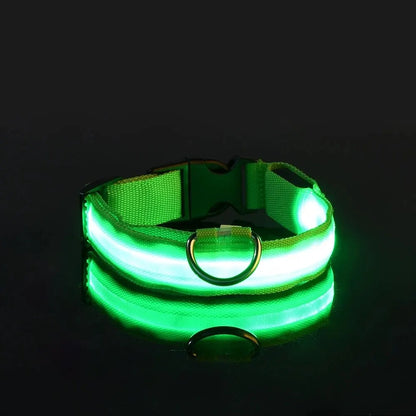 LED Glow Dog Collar – Safety Protection