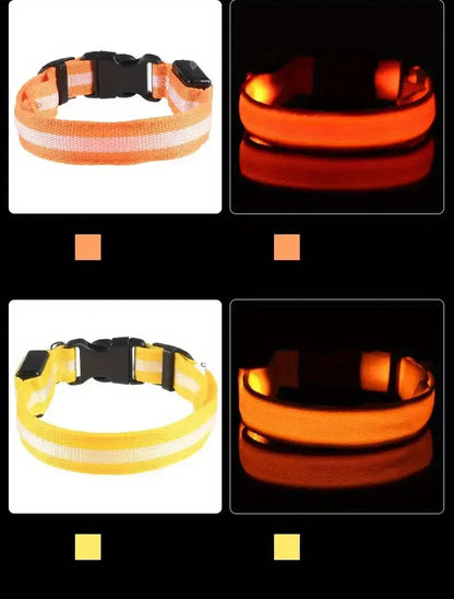LED Glow Dog Collar – Safety Protection