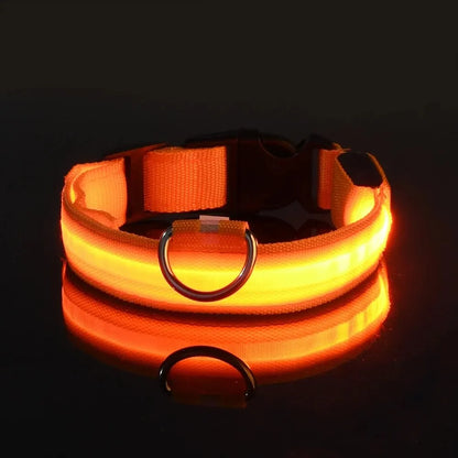 LED Glow Dog Collar – Safety Protection