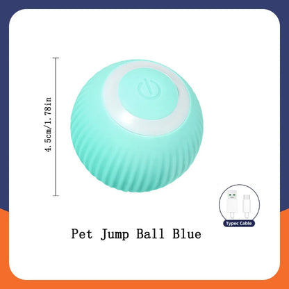 The Smart Dog and Cat Ball That Becomes Their Obsession