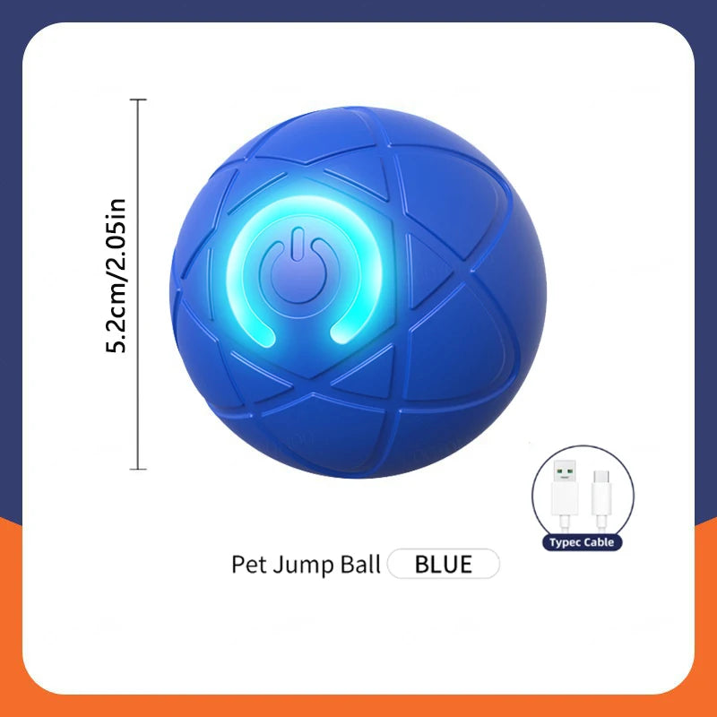 The Smart Dog and Cat Ball That Becomes Their Obsession