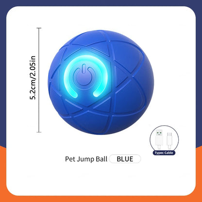 The Smart Dog and Cat Ball That Becomes Their Obsession