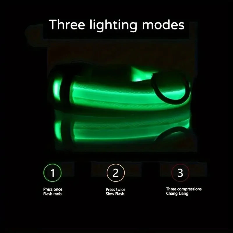 LED Glow Dog Collar – Safety Protection