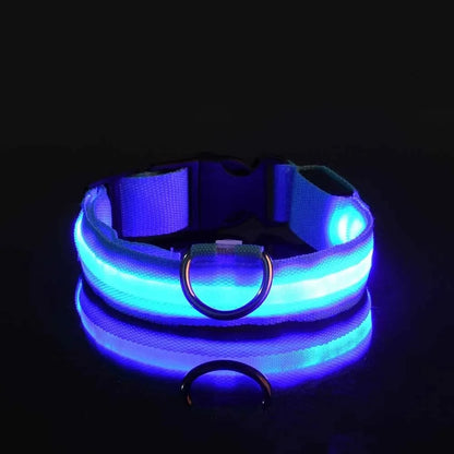 LED Glow Dog Collar – Safety Protection