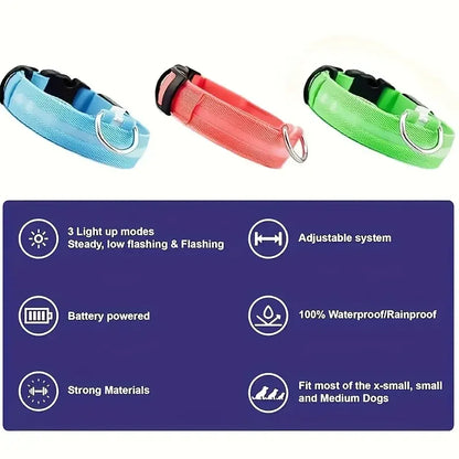 LED Glow Dog Collar – Safety Protection