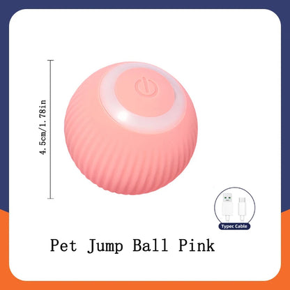 The Smart Dog and Cat Ball That Becomes Their Obsession