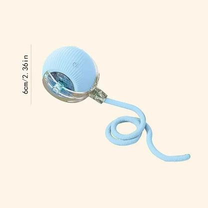 The Smart Dog and Cat Ball That Becomes Their Obsession