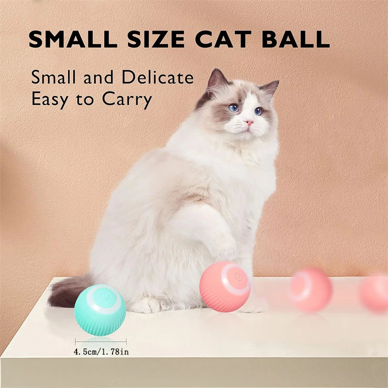 The Smart Dog and Cat Ball That Becomes Their Obsession