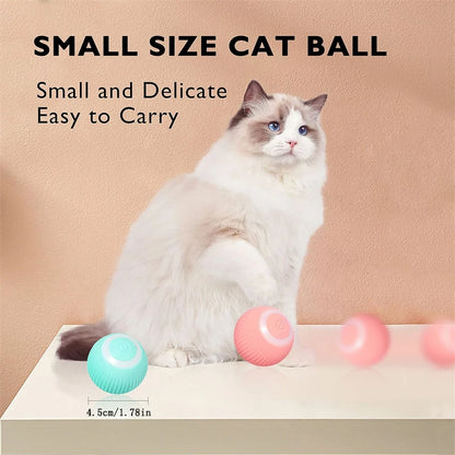 The Smart Dog and Cat Ball That Becomes Their Obsession