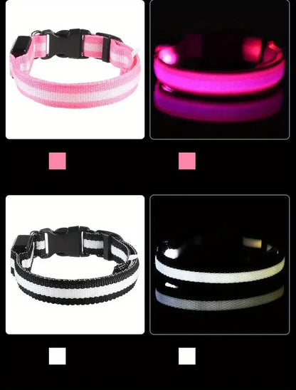 LED Glow Dog Collar – Safety Protection