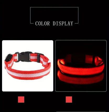 LED Glow Dog Collar – Safety Protection