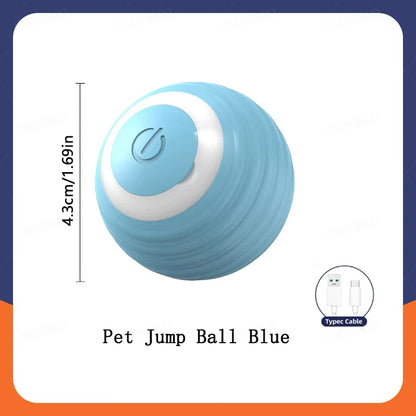 The Smart Dog and Cat Ball That Becomes Their Obsession