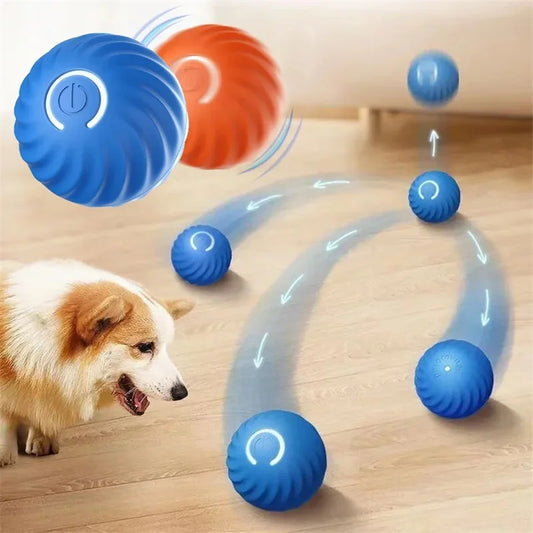 The Smart Dog and Cat Ball That Becomes Their Obsession