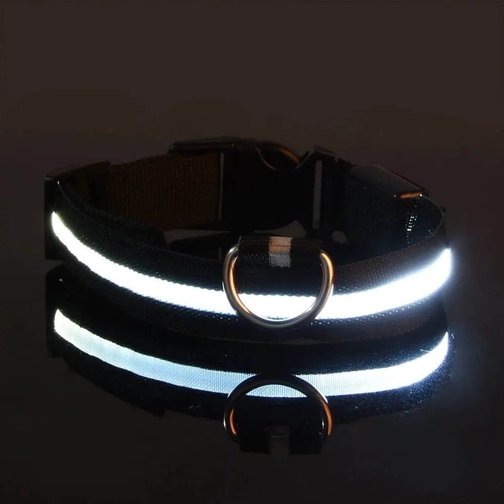 LED Glow Dog Collar – Safety Protection