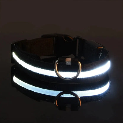LED Glow Dog Collar – Safety Protection