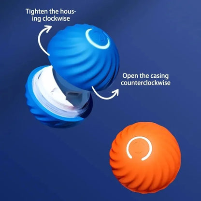 The Smart Dog and Cat Ball That Becomes Their Obsession