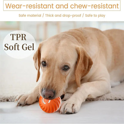 The Smart Dog and Cat Ball That Becomes Their Obsession
