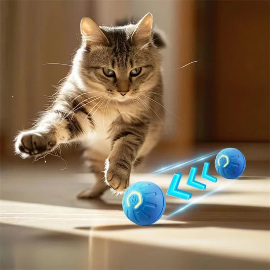 The Smart Dog and Cat Ball That Becomes Their Obsession