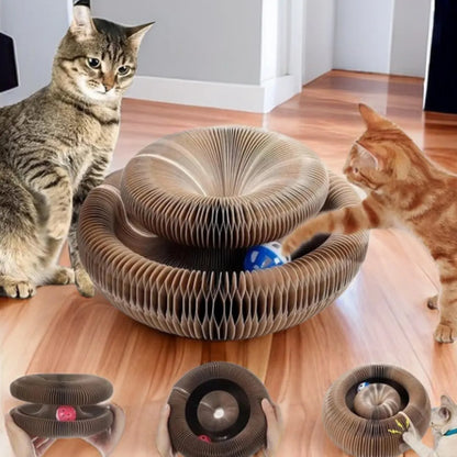 The Trending Magic Cat Scratch Toy