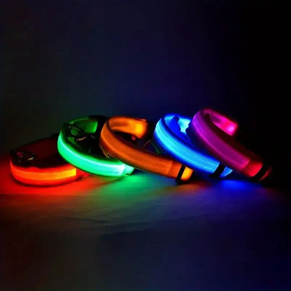 LED Glow Dog Collar – Safety Protection