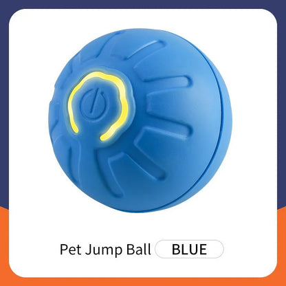 The Smart Dog and Cat Ball That Becomes Their Obsession