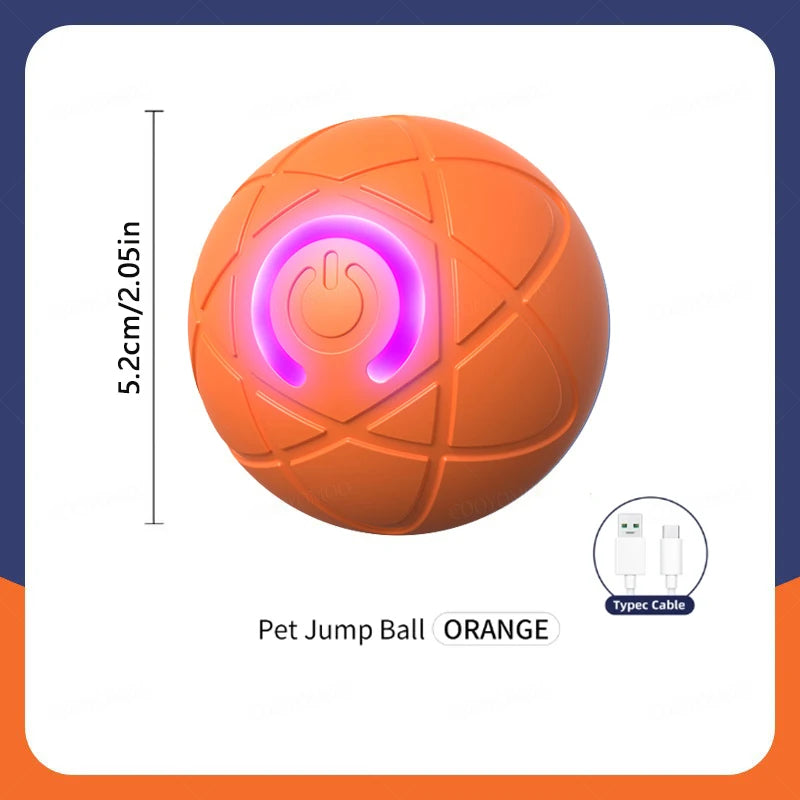 The Smart Dog and Cat Ball That Becomes Their Obsession