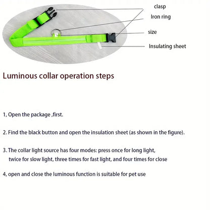 LED Glow Dog Collar – Safety Protection