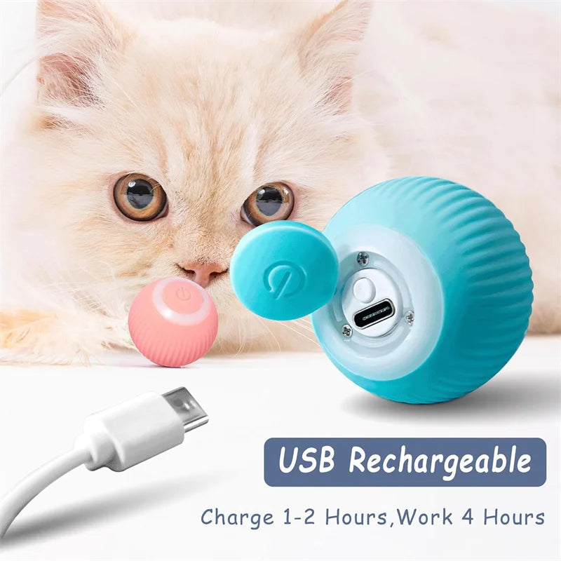 The Smart Dog and Cat Ball That Becomes Their Obsession