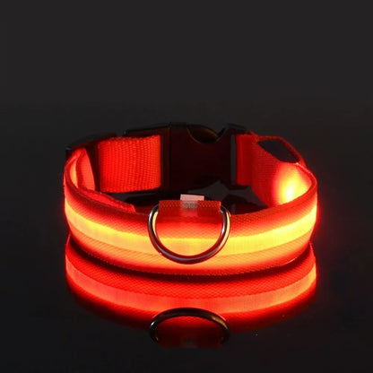 LED Glow Dog Collar – Safety Protection