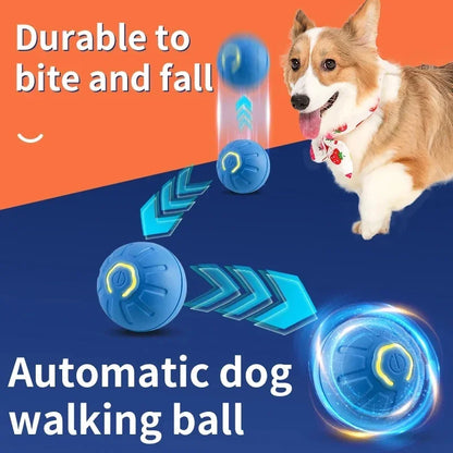 The Smart Dog and Cat Ball That Becomes Their Obsession