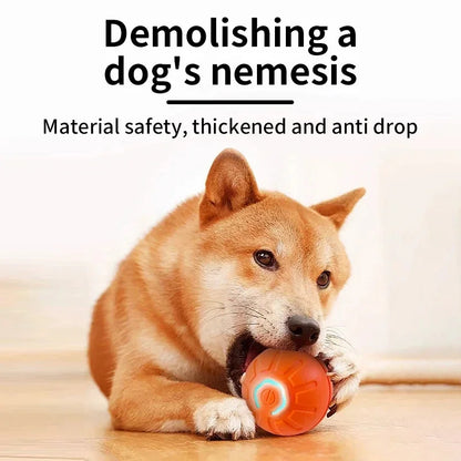 The Smart Dog and Cat Ball That Becomes Their Obsession