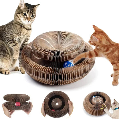 The Trending Magic Cat Scratch Toy