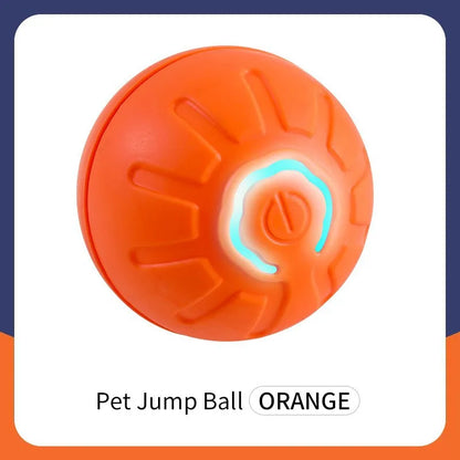 The Smart Dog and Cat Ball That Becomes Their Obsession