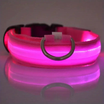 LED Glow Dog Collar – Safety Protection