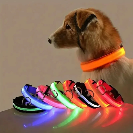 LED Glow Dog Collar – Safety Protection