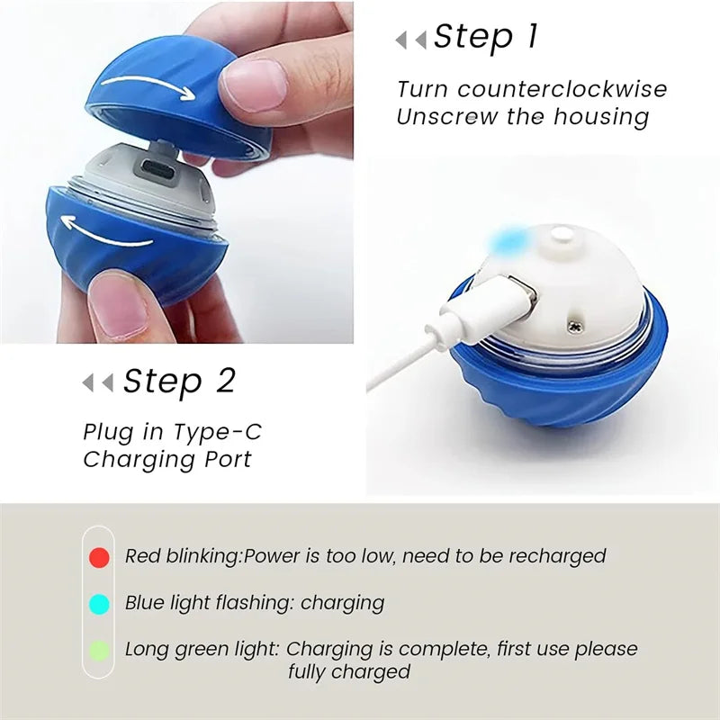The Smart Dog and Cat Ball That Becomes Their Obsession