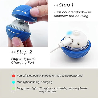 The Smart Dog and Cat Ball That Becomes Their Obsession