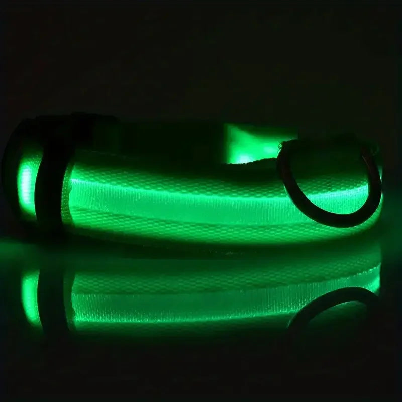 LED Glow Dog Collar – Safety Protection
