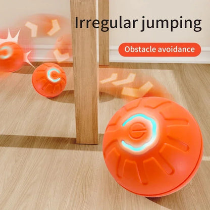 The Smart Dog and Cat Ball That Becomes Their Obsession