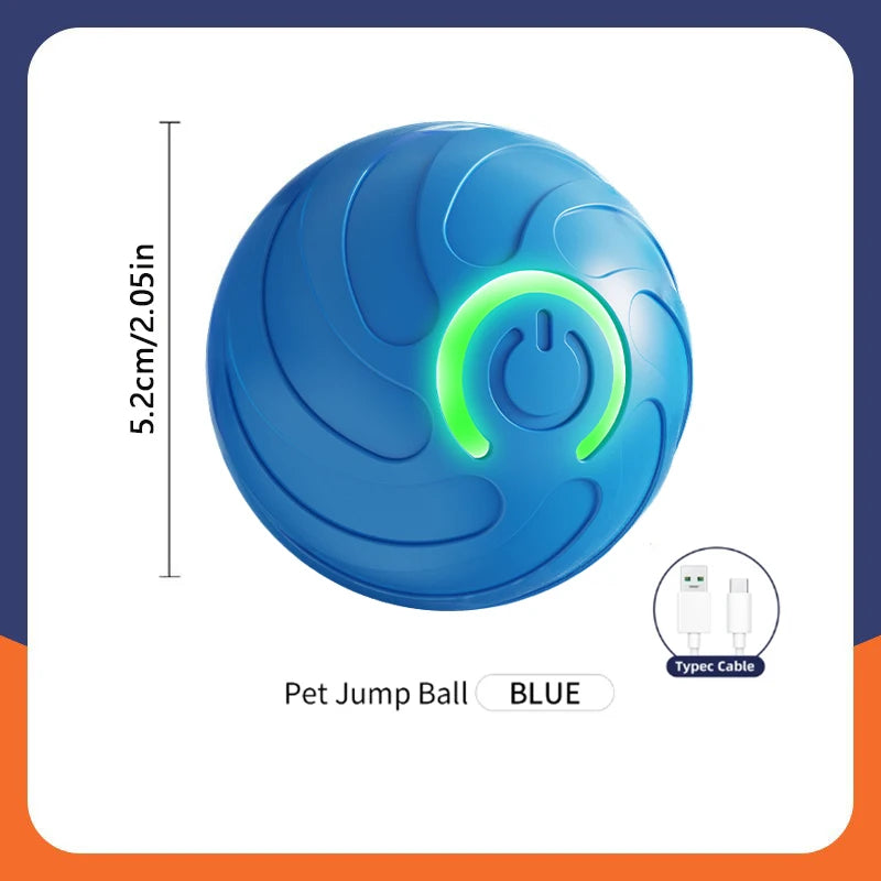 The Smart Dog and Cat Ball That Becomes Their Obsession