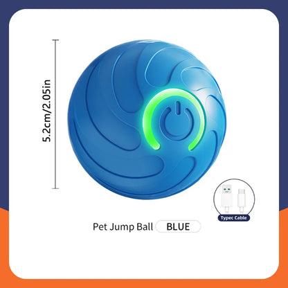 The Smart Dog and Cat Ball That Becomes Their Obsession