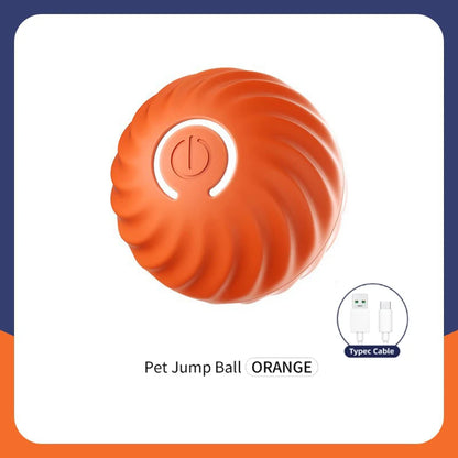 The Smart Dog and Cat Ball That Becomes Their Obsession