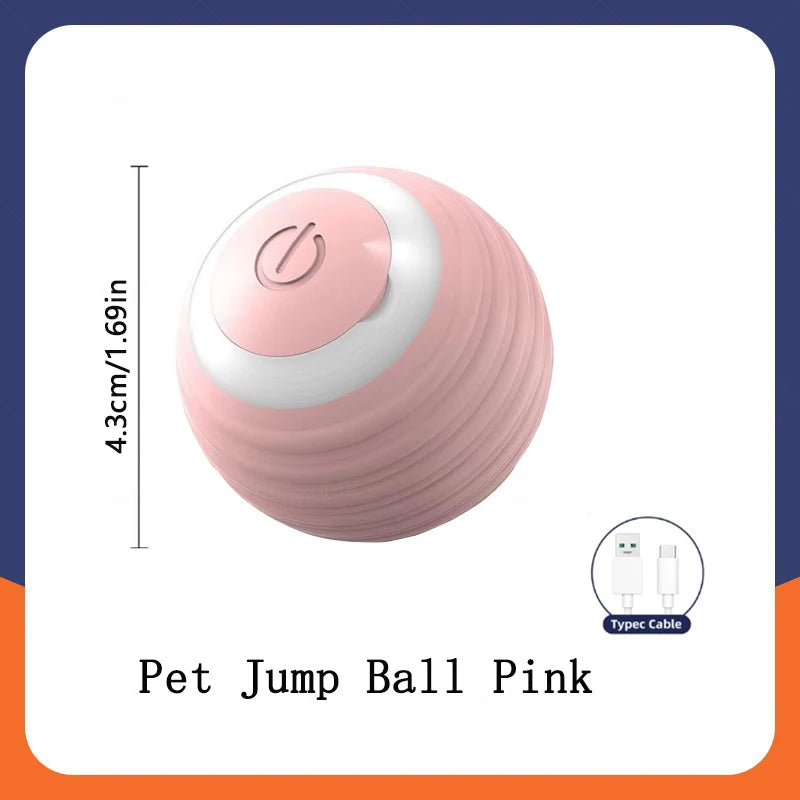 The Smart Dog and Cat Ball That Becomes Their Obsession